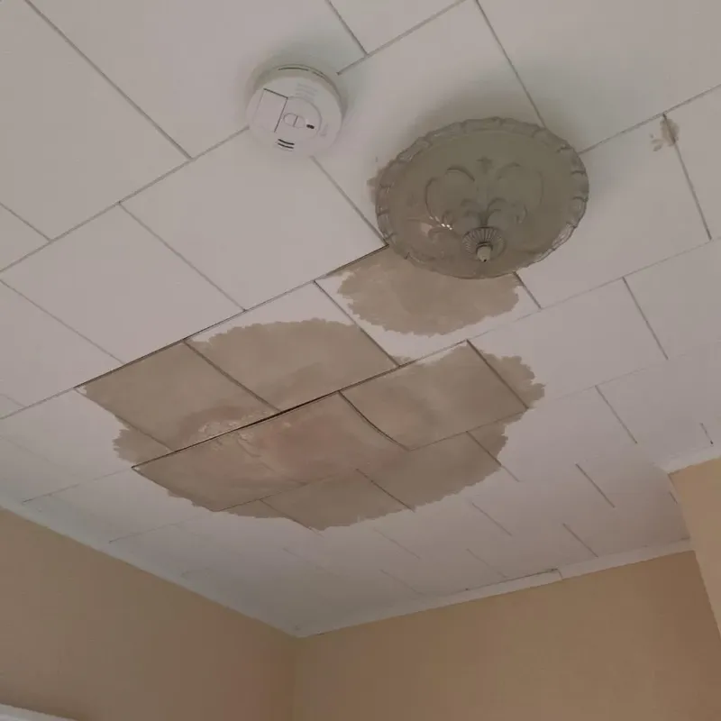 Ceiling Water Damage Repair in Hildebran, NC
