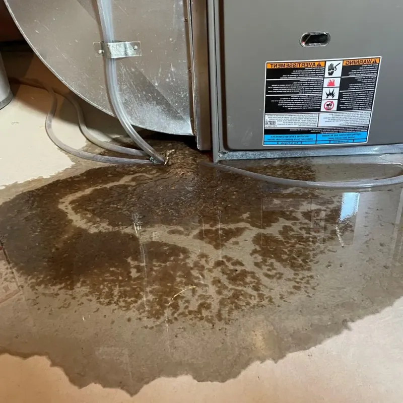 Pipe Burst and Leak Restoration in Hildebran, NC